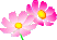 �g�`���b�g���f�B���l��r