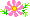 �g�`���b�g���f�B���l��r